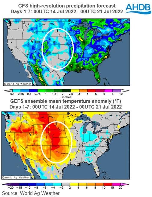 US precipitation and abnormal temp weather charts